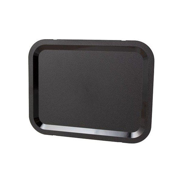 LiftMaster Decorative Ring, No Camera - 041-0196-000