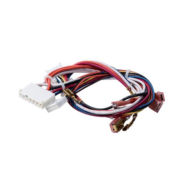LiftMaster Wire Harness Kit, Dual Light - 041A7790