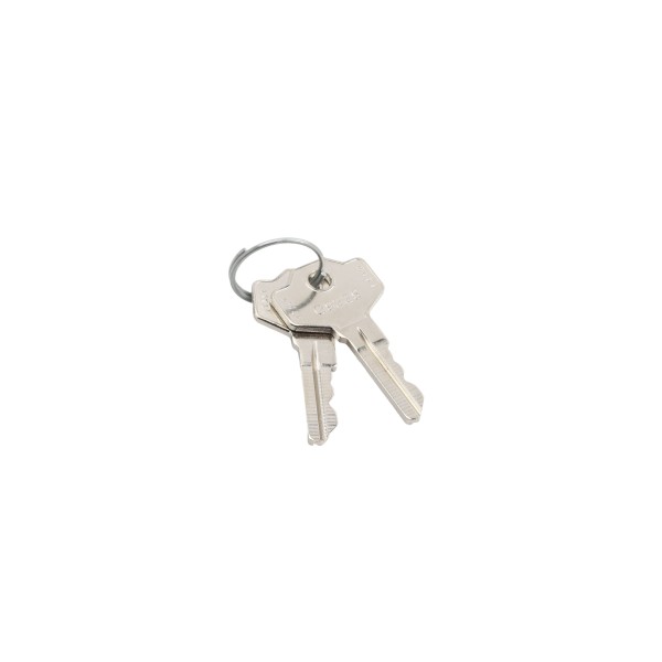 LiftMaster Release Key For LA500 Swing Gate Operators (Qty 2) - 041ASWG-0119 (Default)