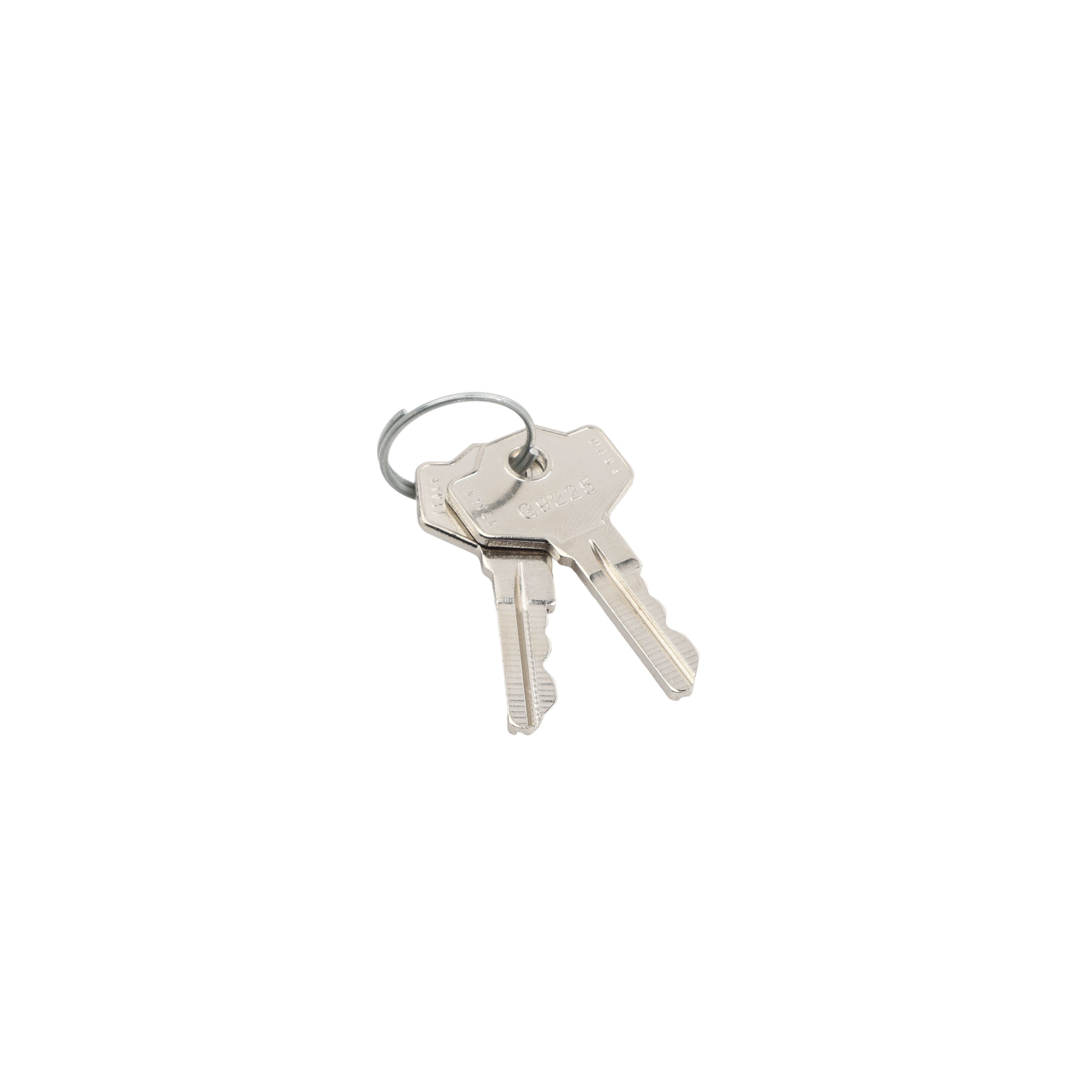 LiftMaster Release Key For LA500 Swing Gate Opener Systems (Quantity 2 ...