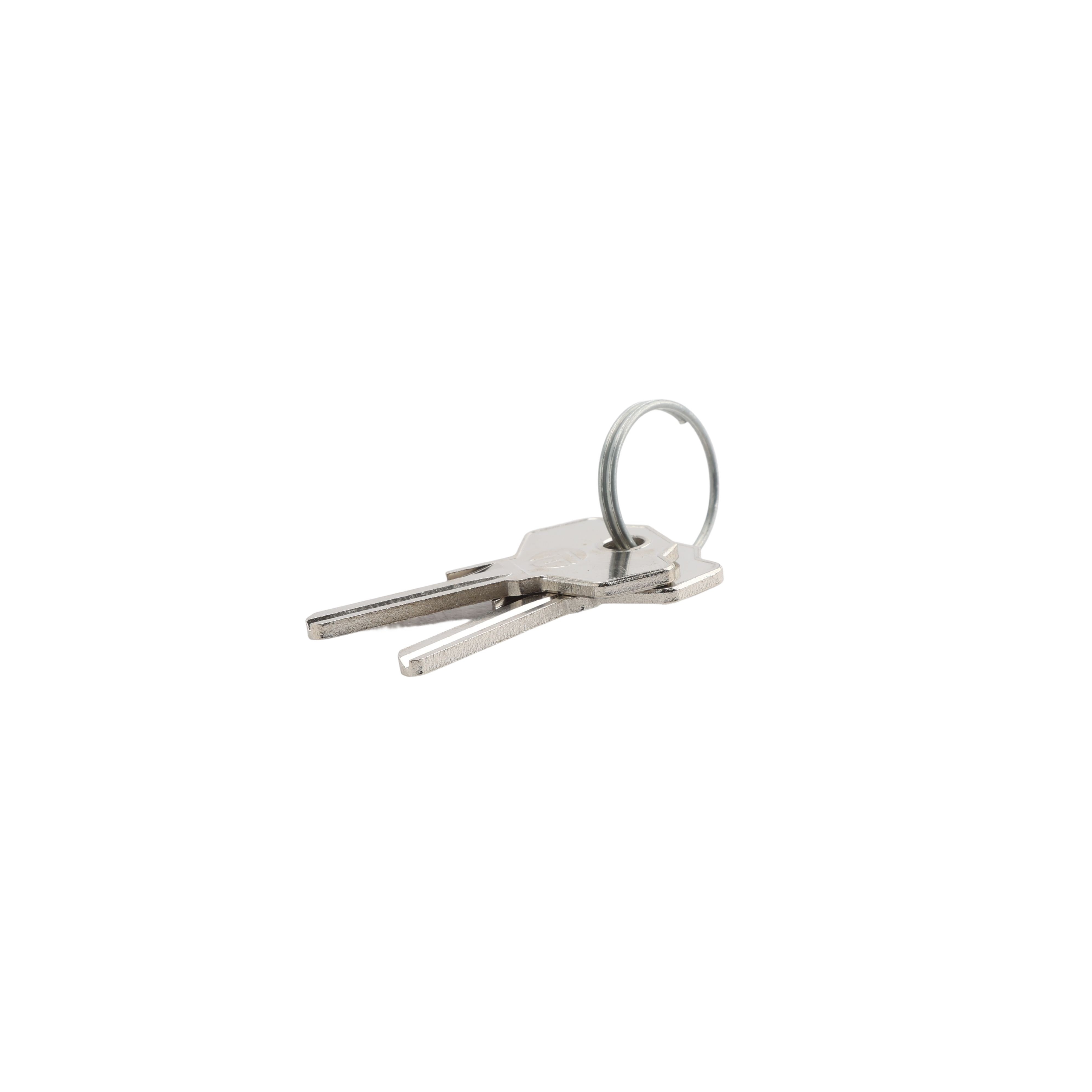 LiftMaster Release Key For LA500 Swing Gate Operators (Quantity 2 ...