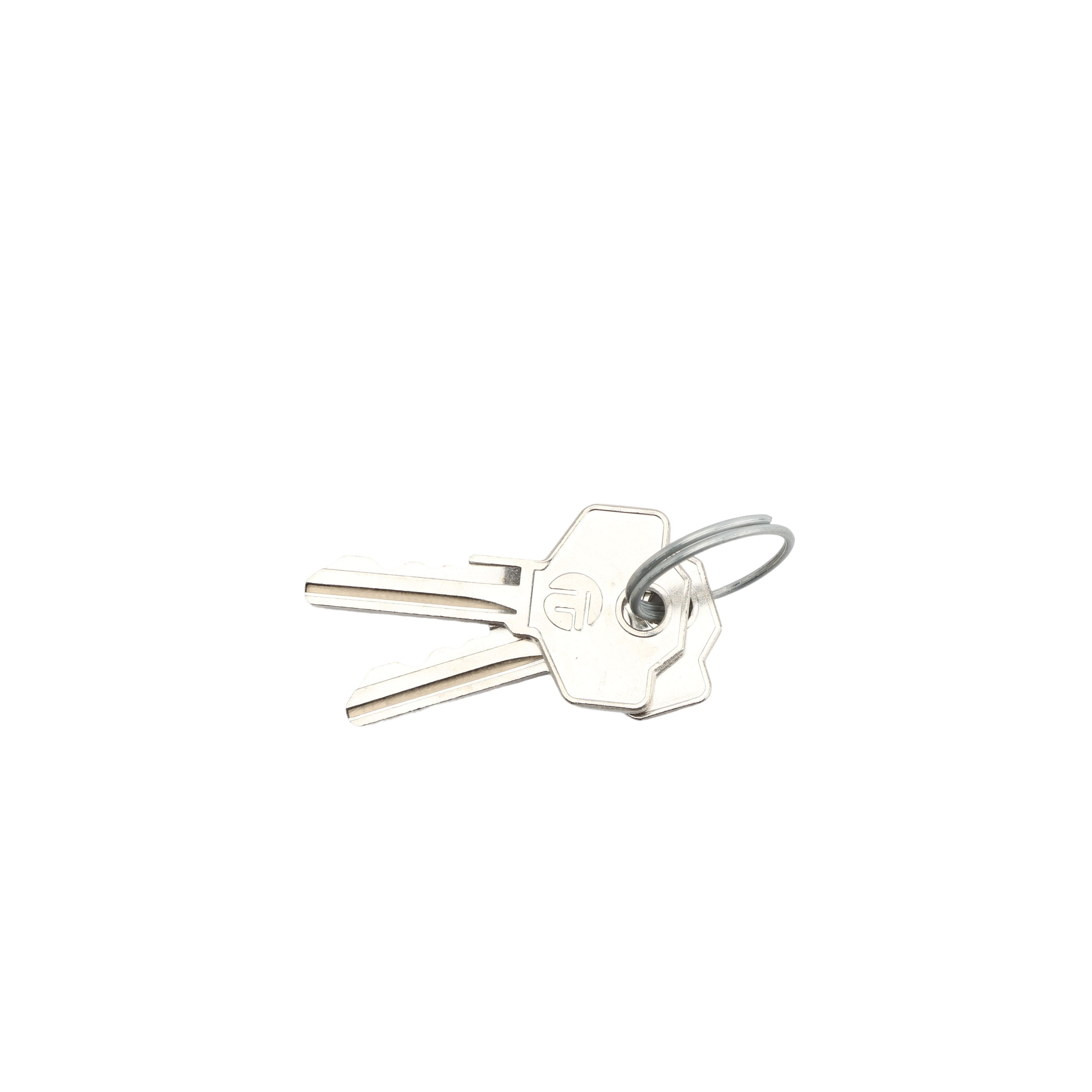 LiftMaster Release Key For LA500 Swing Gate Opener Systems (Quantity 2 ...