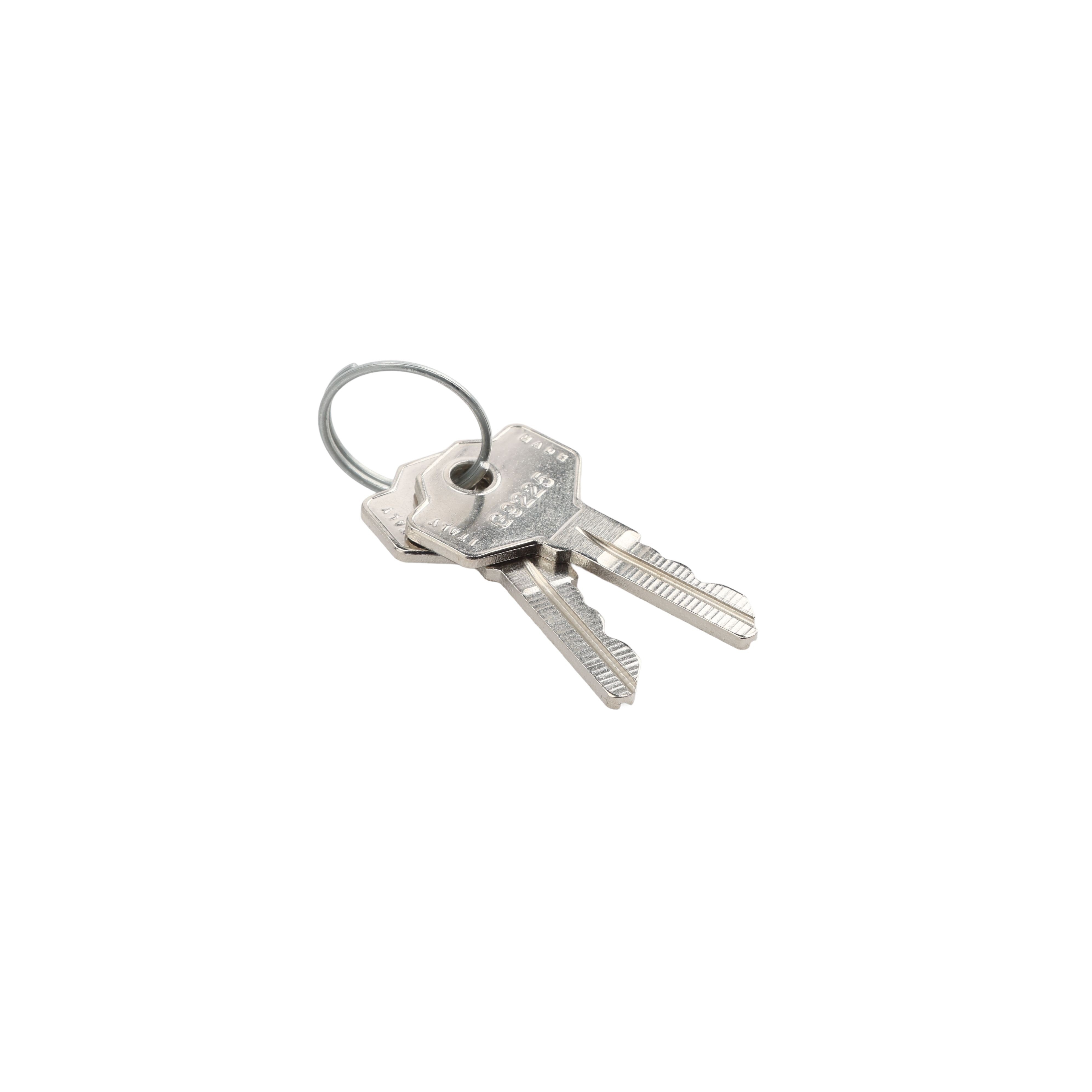 LiftMaster Release Key For LA500 Swing Gate Opener Systems (Quantity 2 ...