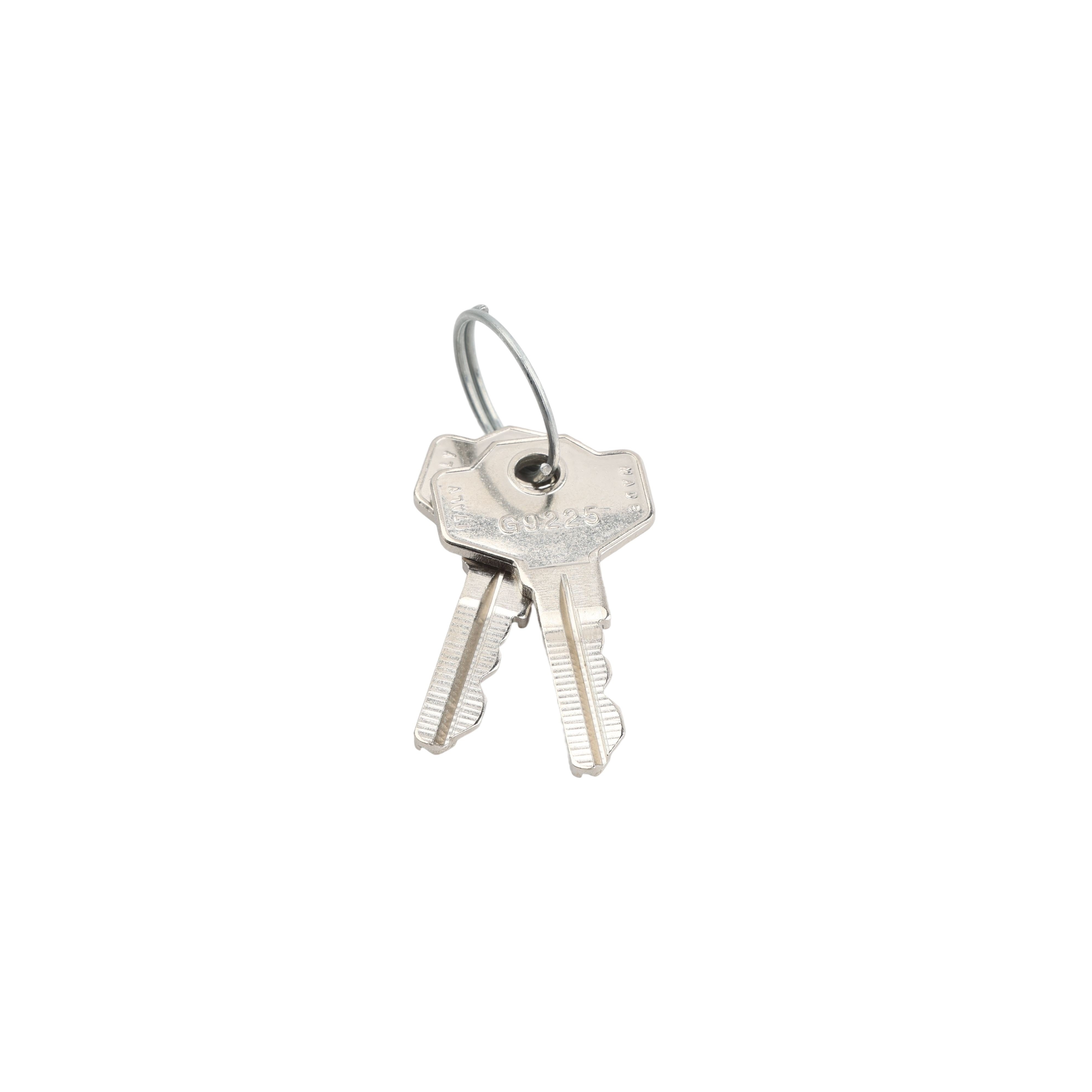 LiftMaster Release Key For LA500 Swing Gate Opener Systems (Quantity 2 ...