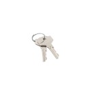 LiftMaster Release Key For LA500 Swing Gate Operators (Qty 2) - 041ASWG-0119 (Default)