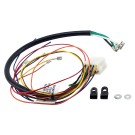 LiftMaster Wire Harness Kit, CSW Motor, Q520 - K94-50286