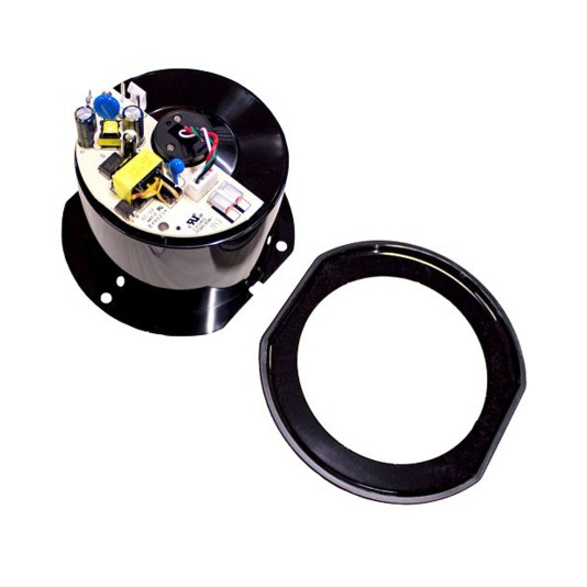 LiftMaster Camera w/ Decorative Cover, High-Resolution - 041-0041