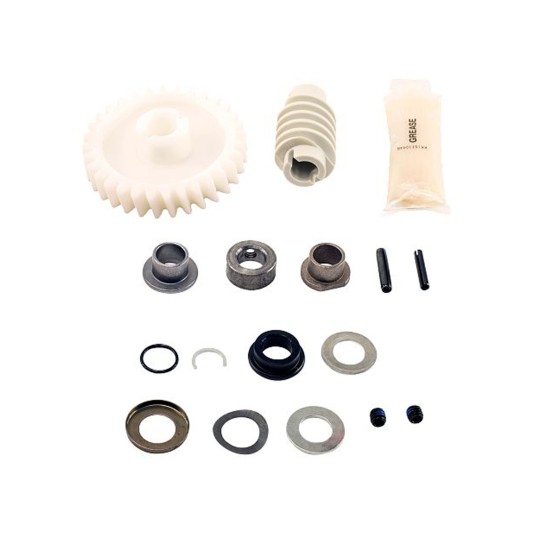 LiftMaster Drive Gear and Worm Kit - 041A2817