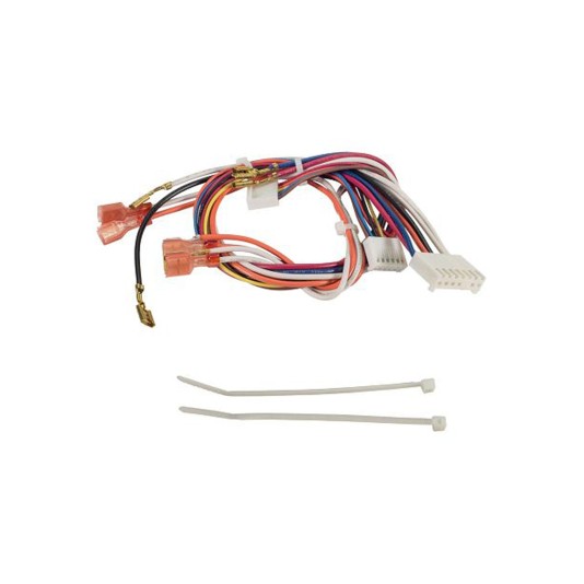 LiftMaster Wire Harness Kit, Dual Light - 041A7945