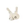 LiftMaster Access Door Keys, Quantity 2, Q118 for Gate Opener Systems - K80-50295