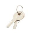 LiftMaster Access Door Keys, Quantity 2, Q118 for Gate Opener Systems - K80-50295