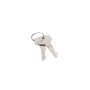 LiftMaster Release Key For LA500 Swing Gate Operators (Quantity 2) - 041ASWG-0119
