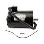 LiftMaster Motor, 3/4HP, 3 Phase, L5 for Door Opener Systems - K20-3075C-4P-H25